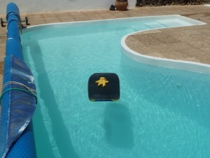shoved out in the middle of the pool !